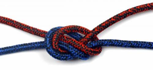 Kingfisher Evolution Sheet